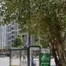 Koehn 夏