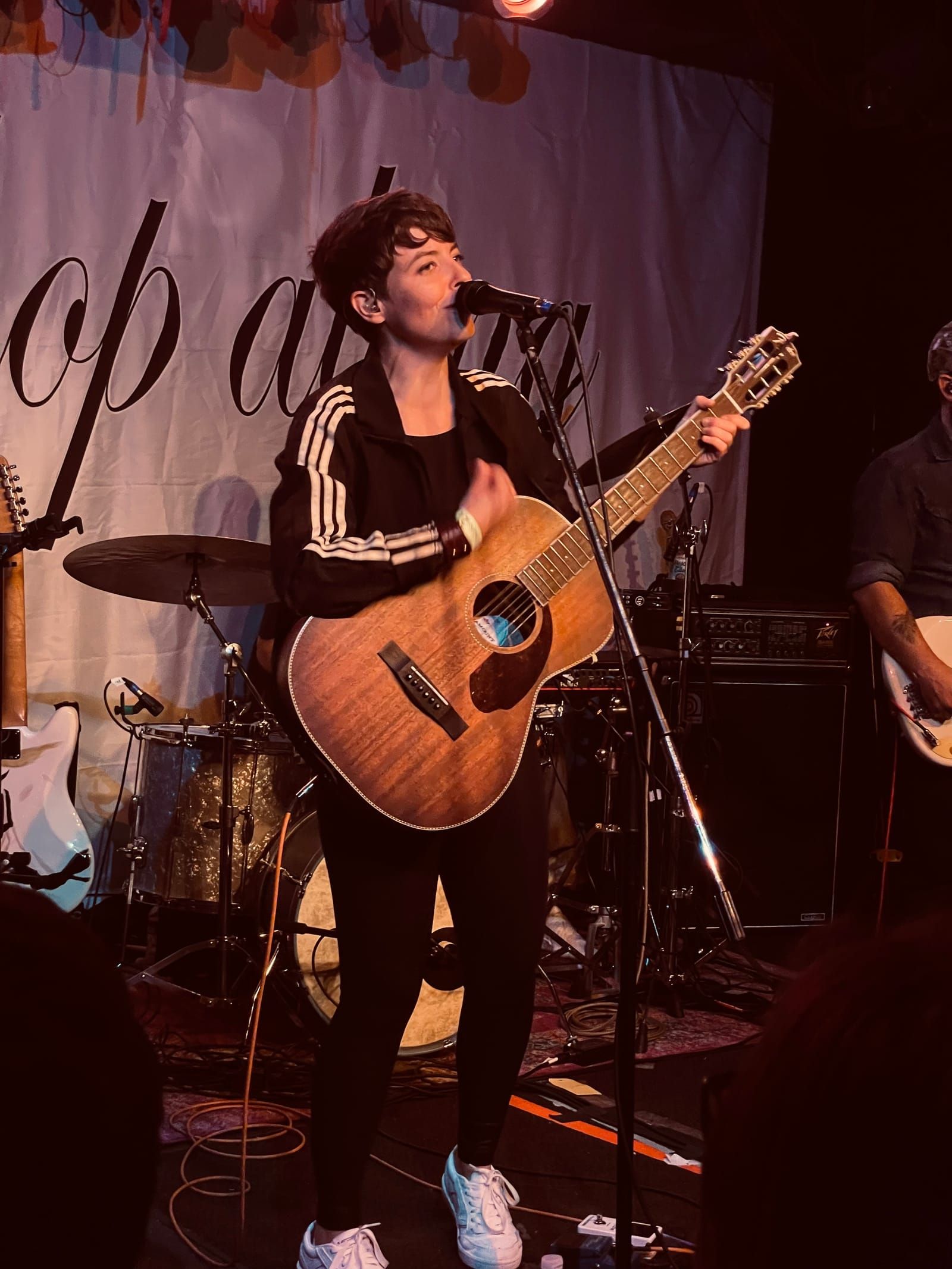 Concert photo 1